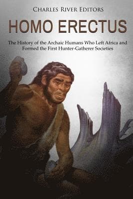 Homo erectus