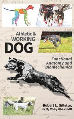 Athletic and Working Dog