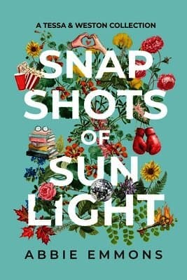 Snapshots of Sunlight