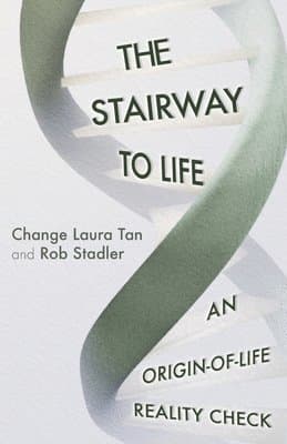 Stairway To Life