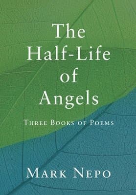 Half-Life of Angels