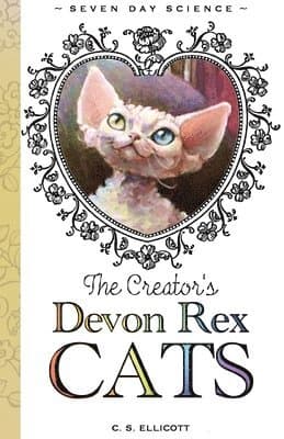 Creator's Devon Rex Cats