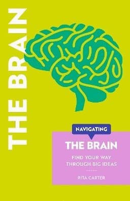 Navigating The Brain
