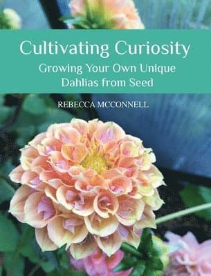 Cultivating Curiosity