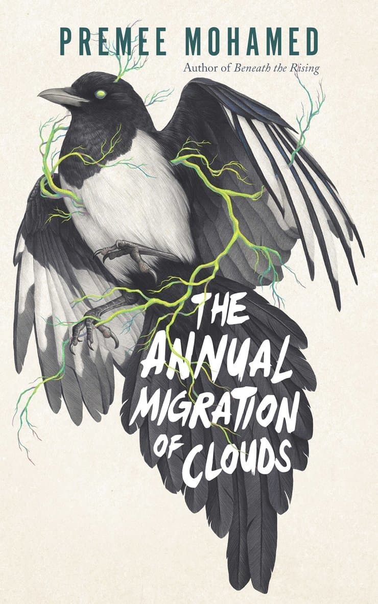 Annual Migration of Clouds