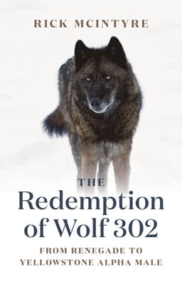 Redemption of Wolf 302