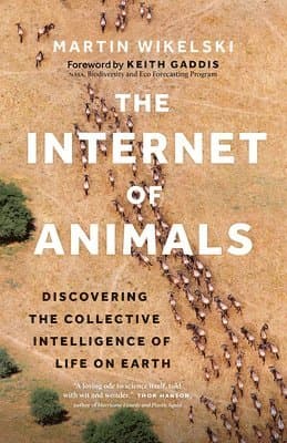 Internet of Animals
