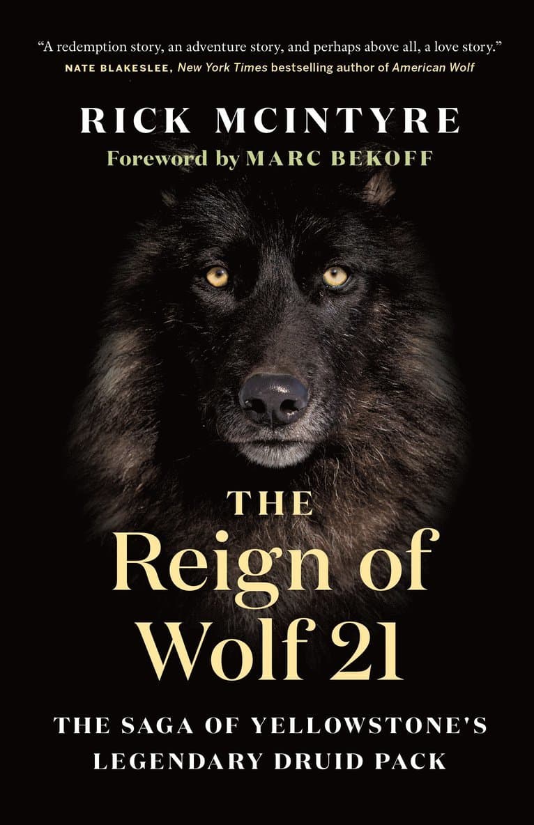 Reign of Wolf 21