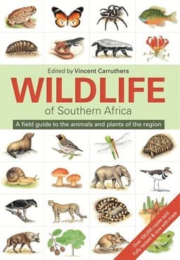 The Wildlife of Southern Africa