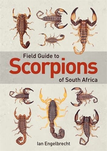 Field Guide to Scorpions of South Africa