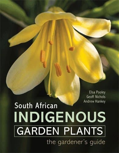 South African Indigenous Garden Plants – The gardener’s guide