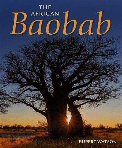African Baobab
