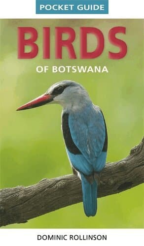 Pocket Guide Birds of Botswana