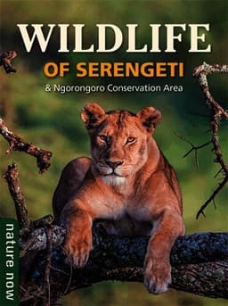 Wildlife of Serengeti & Ngorongoro Conservation Area