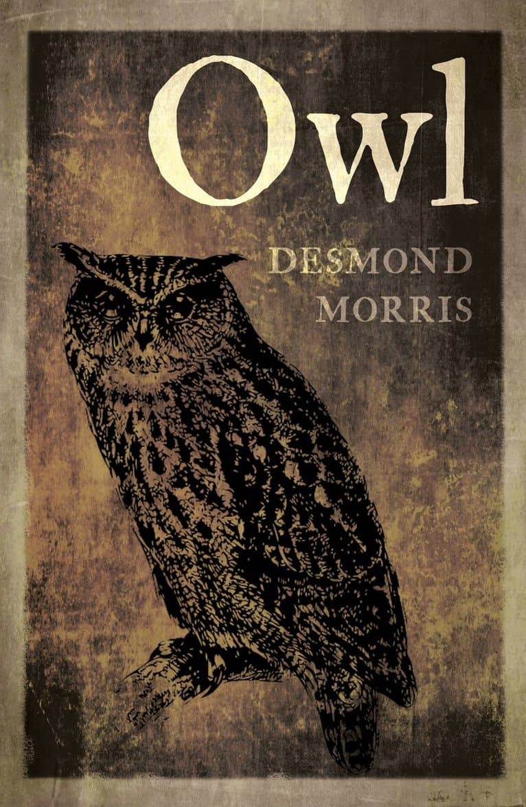 Omslag till boken Owl av Desmond Morris