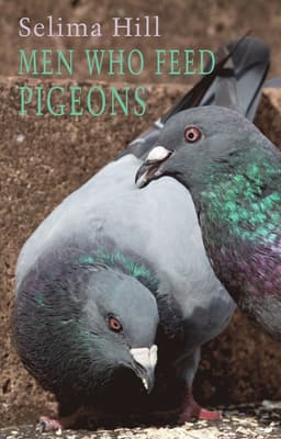 Men Who Feed Pigeons
