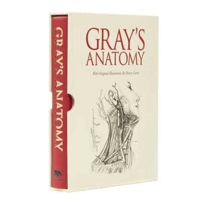 Grays Anatomy