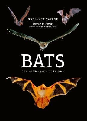 Bats