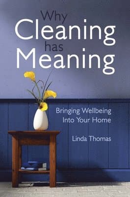 Why Cleaning Has Meaning