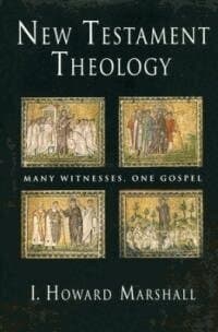 New Testament Theology PB