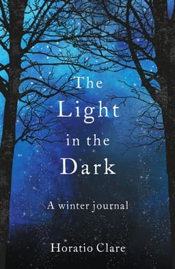 Light in the Dark