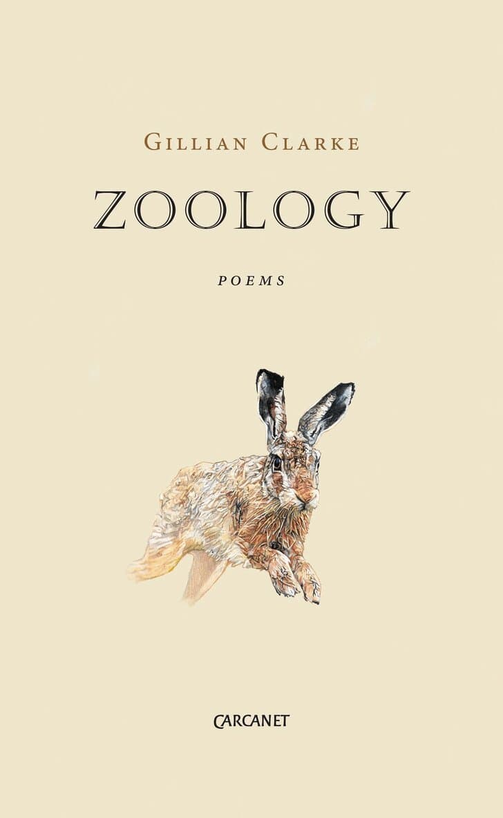 Zoology