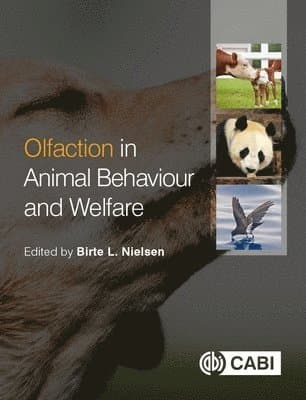 Asking Animals: An Introduction to Animal Behaviour Testing