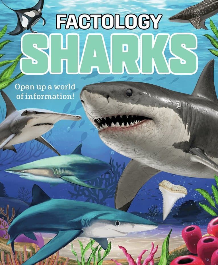 Factology: Sharks