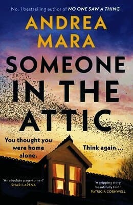 Someone in the Attic
