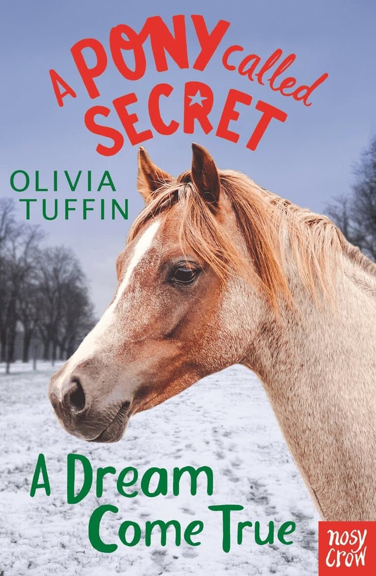 Pony Called Secret: A Dream Come True