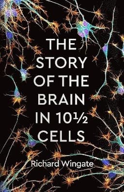 Story of the Brain in 10½ Cells