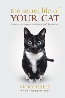 Secret Life Of Your Cat