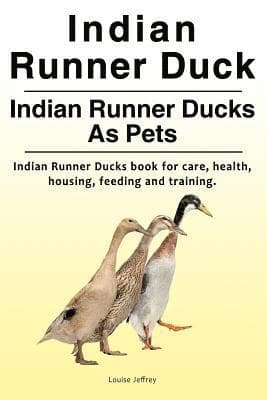 Indian Runner Duck. Indian Runner Ducks As Pets. Indian Runner Ducks book for care, health, housing, feeding and training.