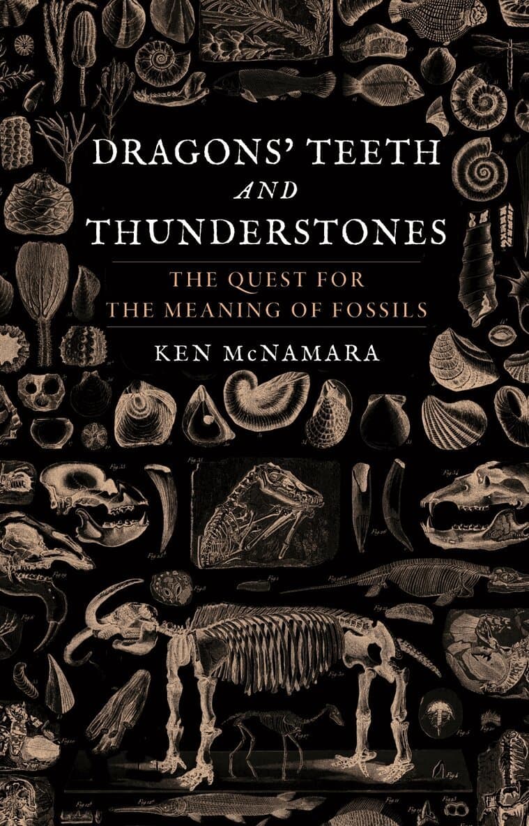 Dragons’ Teeth and Thunderstones