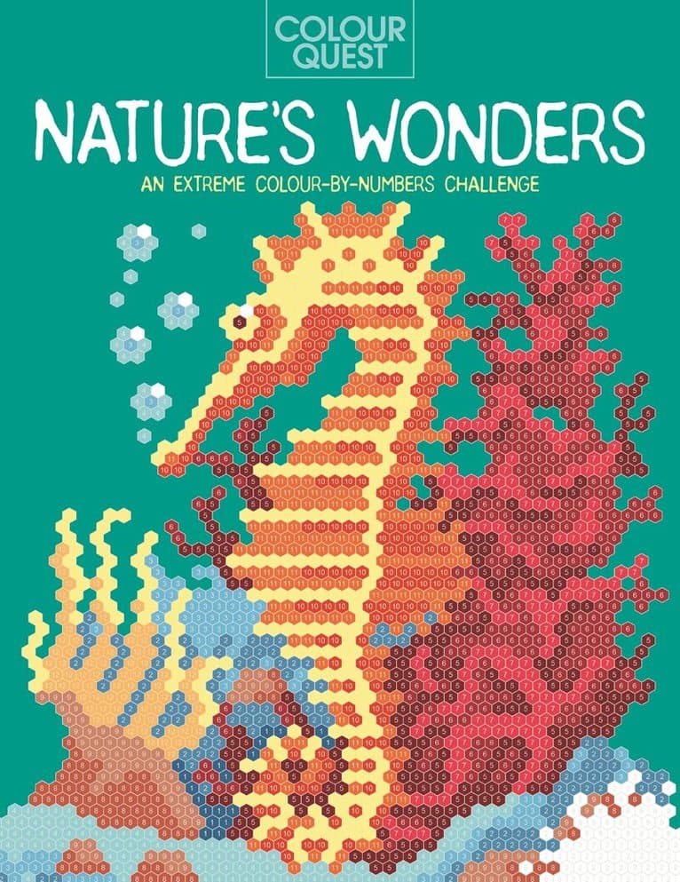 Colour Quest®: Winter Wonders