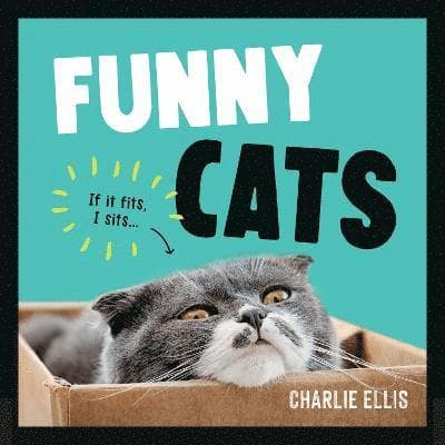 Funny Cats
