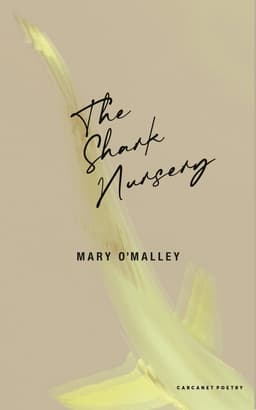 Shark Nursery