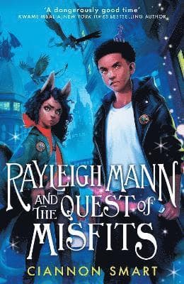 Rayleigh Mann and the Quest of Misfits