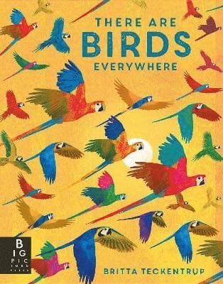 There are Birds Everywhere