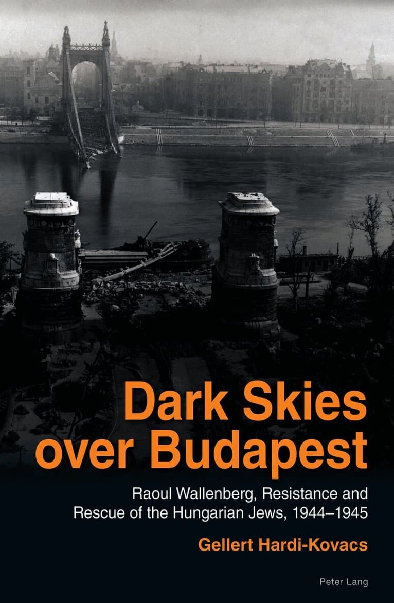 Dark Skies over Budapest