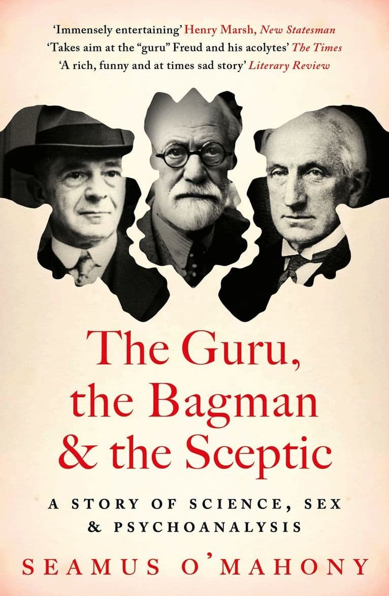 Guru, the Bagman and the Sceptic