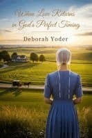 When Love Returns in God's Perfect Timing: A Blessingfield Amish Second Chance Romance