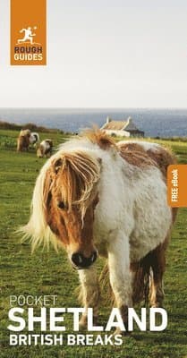Rough Guides – mest populär bok