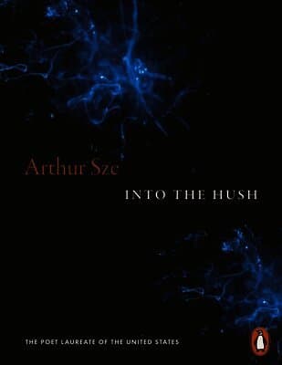 Into the Hush