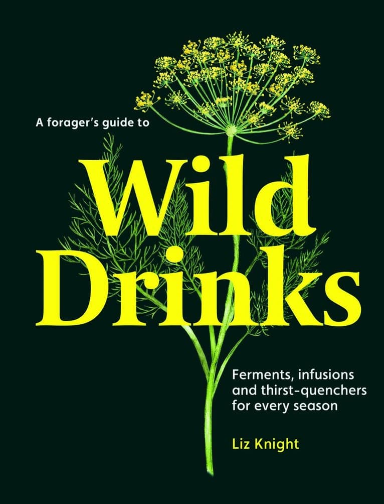 Forager's Guide to Wild Drinks