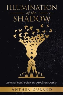 Illumination of the Shadow
