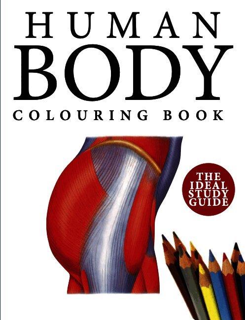 Human Body Colouring Book