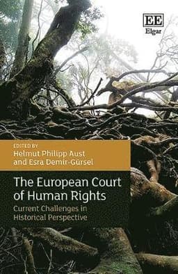 European Court of Human Rights