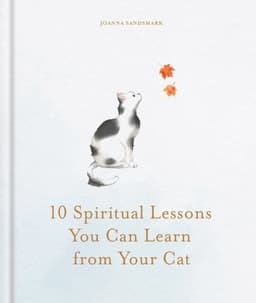 10 Spiritual Lessons You Can Learn from Your Cat