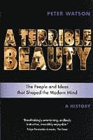 Terrible Beauty: A Cultural History of the Twentieth Century